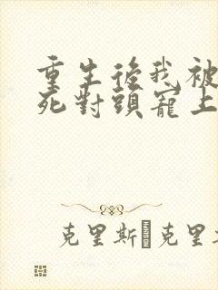 重生后我被渣男死对头宠上天短剧