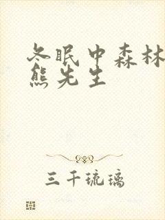 冬眠中森林里的熊先生