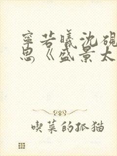 宁若曦沈砚舟黎思《盛景太匆匆》