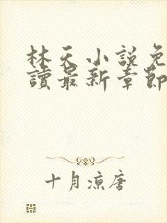 林天小说免费阅读最新章节