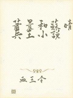 萧晨和苏晴全能兵王小说