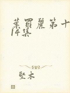 叶罗丽第十一季14集