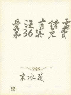 爱没有错电视剧第36集免费观看