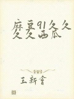 麻豆91久久久久久西瓜