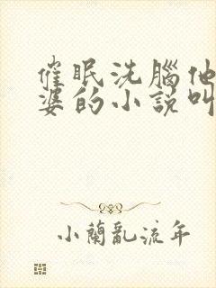 催眠洗脑他人老婆的小说叫什么封面