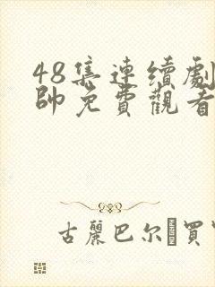 48集连续剧少帅免费观看