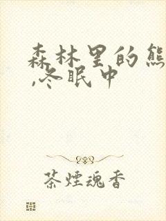 森林里的熊先生 ,冬眠中