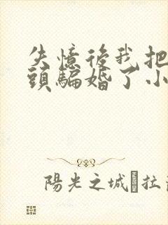 失忆后我把死对头骗婚了小说