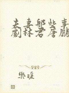 夫妻那些事电视剧林君唐鹏