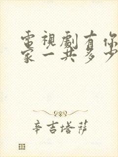 电视剧有你才有家一共多少集