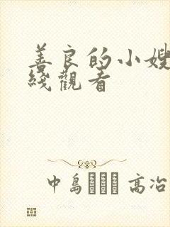 善良的小嫂子在线观看封面