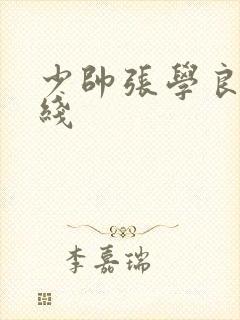 少帅张学良 在线