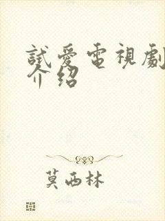 试爱电视剧剧情介绍