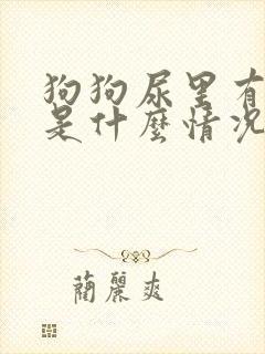 狗狗尿里有点血是什么情况封面