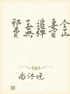 邪王追妻全文免费无弹窗正版