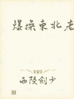 爆操东北老女人