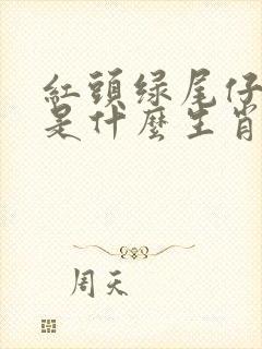 红头绿尾仔细杀是什么生肖封面