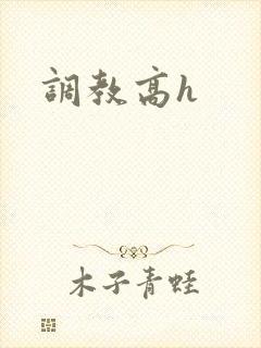 调教高h