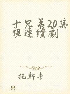 十兄弟20集电视连续剧