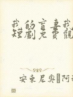 我的盲妻我的心短剧免费观看完整版