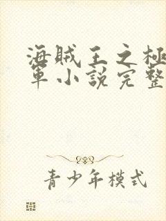 海贼王之极恶海军小说完整版