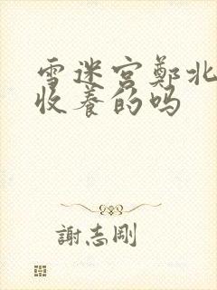 雪迷宫郑北是被收养的吗封面