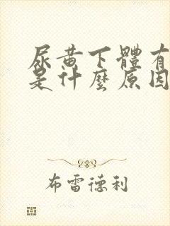 尿黄下体有异味是什么原因