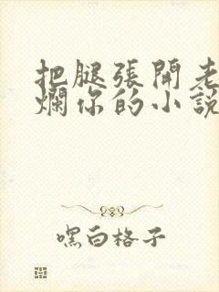 把腿张开老子臊烂你的小说