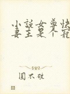 小说女尊快穿之妻主是个宠夫狂封面