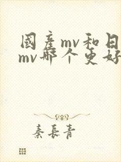 国产mv和日韩mv哪个更好看