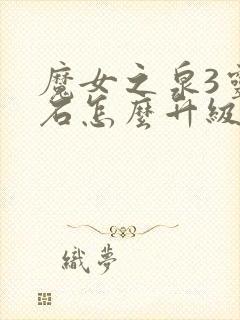 魔女之泉3灵魂石怎么升级