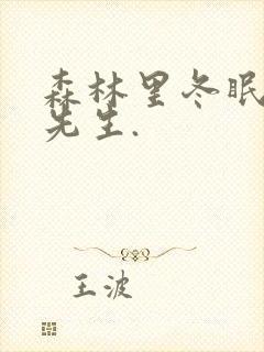 森林里冬眠的熊先生.