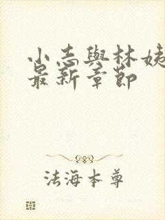 小志与林姨小说最新章节