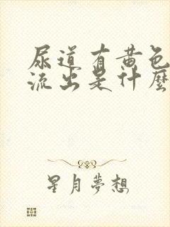 尿道有黄色粘液流出是什么原因