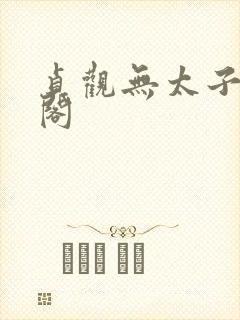 贞观无太子笔趣阁