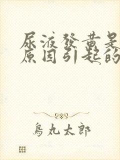 尿液发黄是什么原因引起的?封面