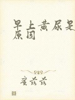 早上黄尿是什么原因