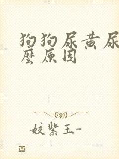 狗狗尿黄尿是什么原因