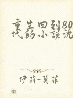 重生回到80年代的小说沈林