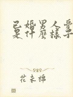 已婚男人爱上你是什么样子封面