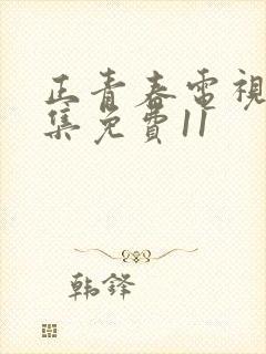 正青春电视剧全集免费11