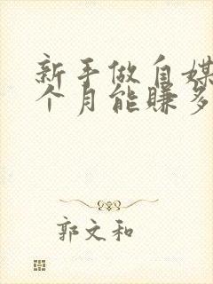 新手做自媒体一个月能赚多少钱