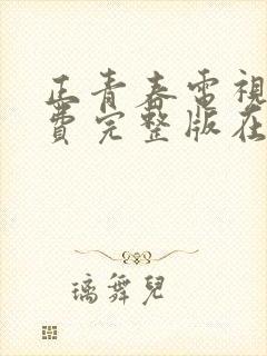 正青春电视剧免费完整版在线观看