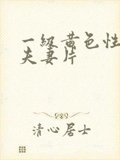 一级黄色性生活夫妻片