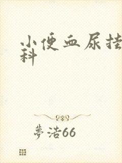 小便血尿挂什么科