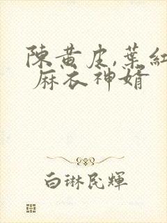 陈黄皮,叶红鱼 麻衣神婿