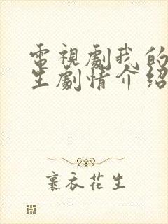 电视剧我的后半生剧情介绍封面