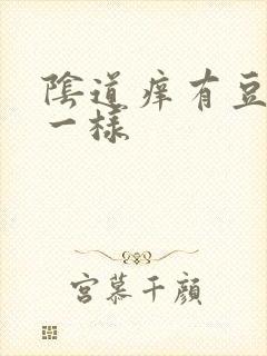 阴道痒有豆腐渣一样