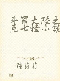 斗罗大陆之史莱克七怪小说