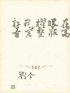 许我耀眼在线观看完整版高清电视剧